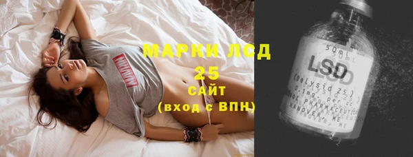 стаф Кукмор